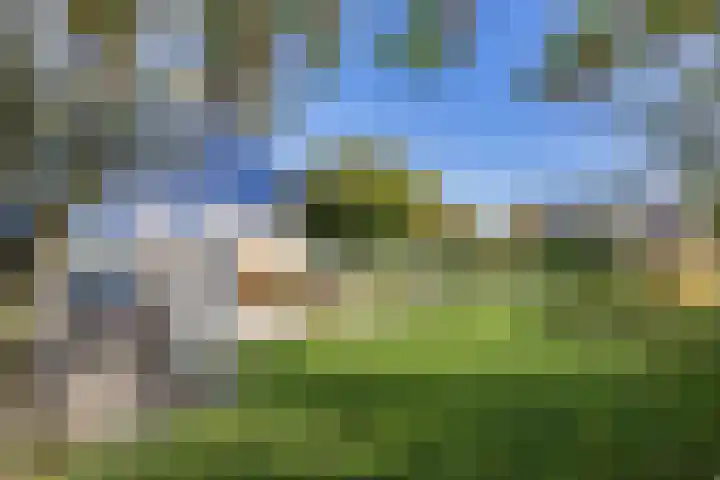 De Ljip 11 Bolsward thumbnail 38