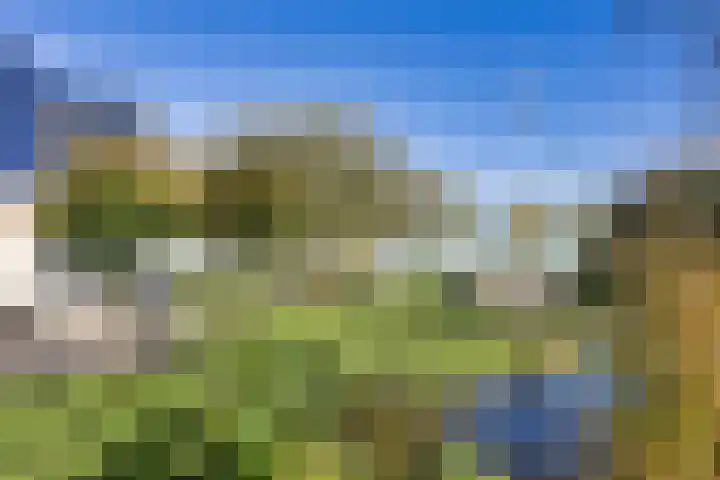 De Ljip 11 Bolsward thumbnail 39