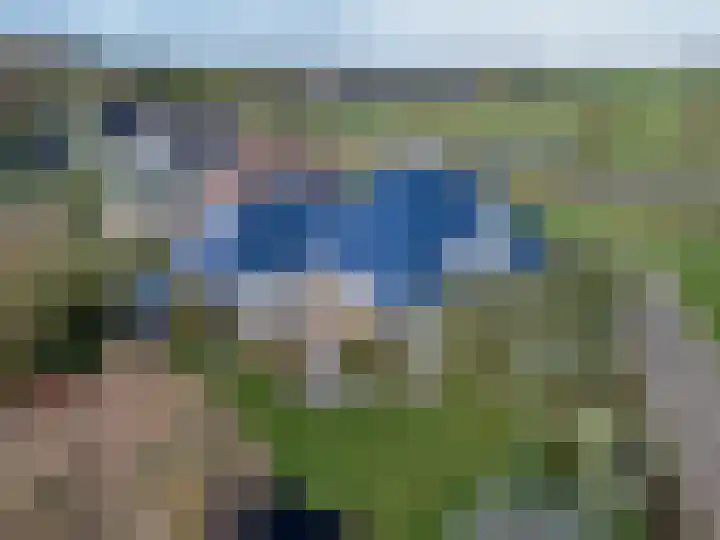 De Ljip 11 Bolsward thumbnail 4