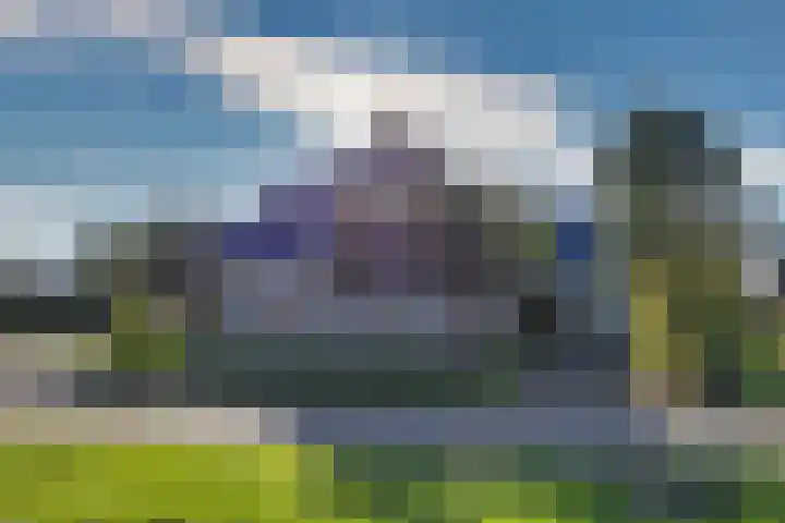 De Ljip 11 Bolsward thumbnail 40