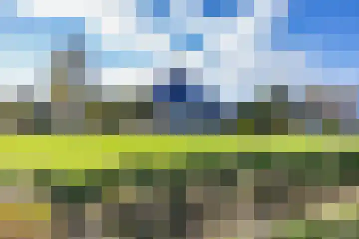 De Ljip 11 Bolsward thumbnail 43