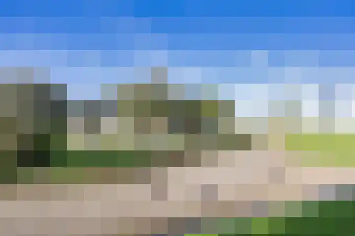 De Ljip 11 Bolsward thumbnail 44