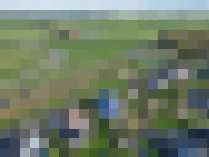 De Ljip 11 Bolsward thumbnail 49