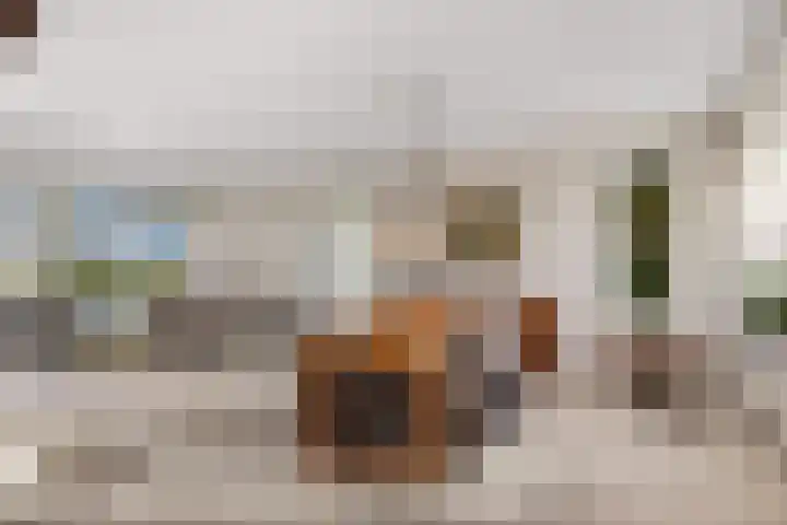 De Ljip 11 Bolsward thumbnail 5