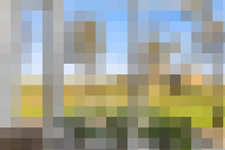 De Ljip 11 Bolsward thumbnail 9