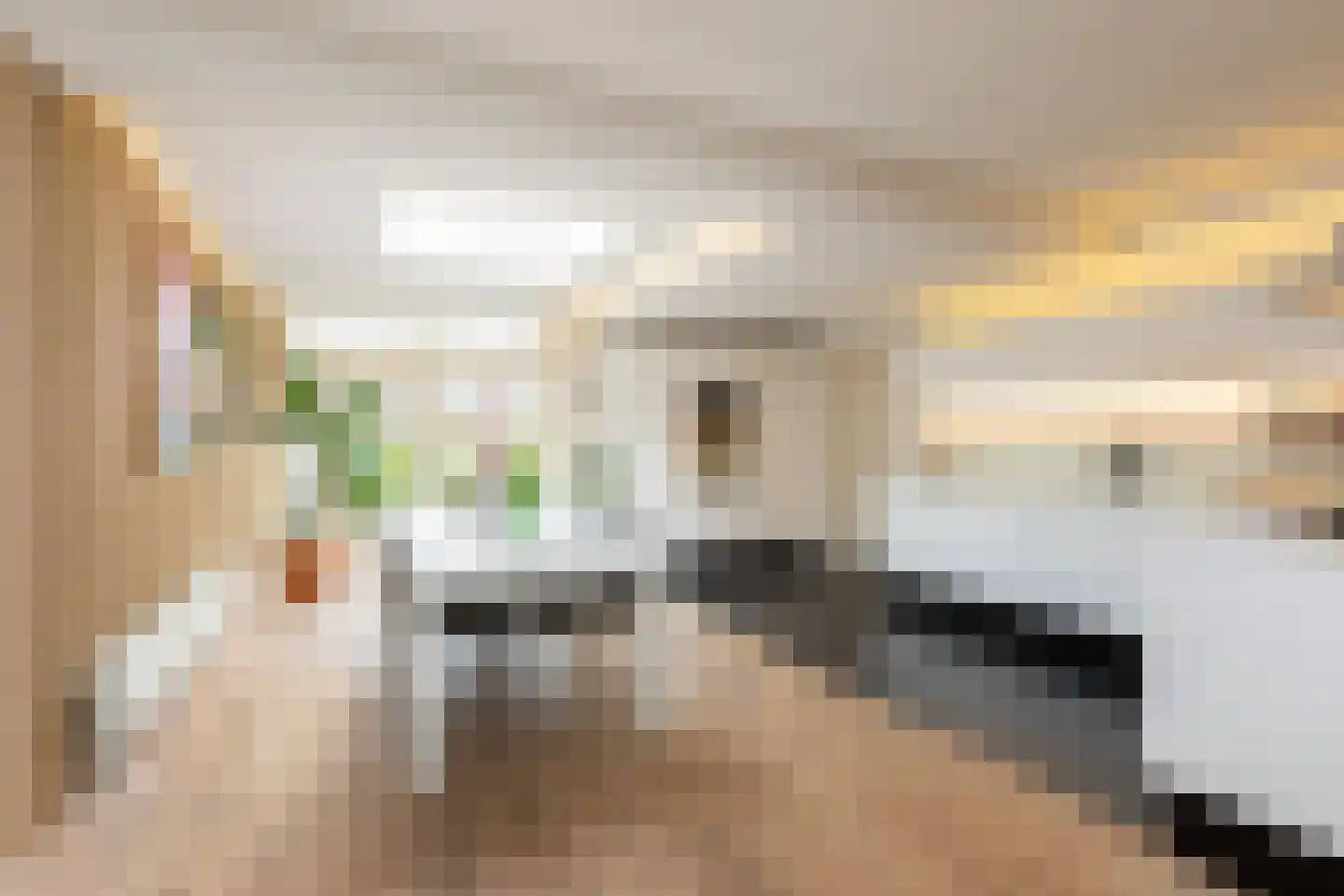 De Ljip 23 Bolsward thumbnail 14