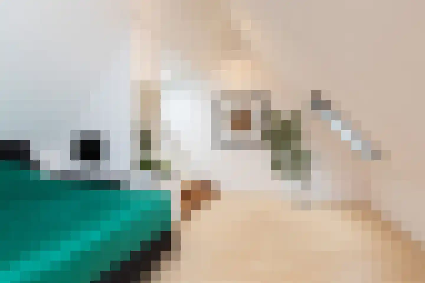 De Ljip 23 Bolsward thumbnail 21
