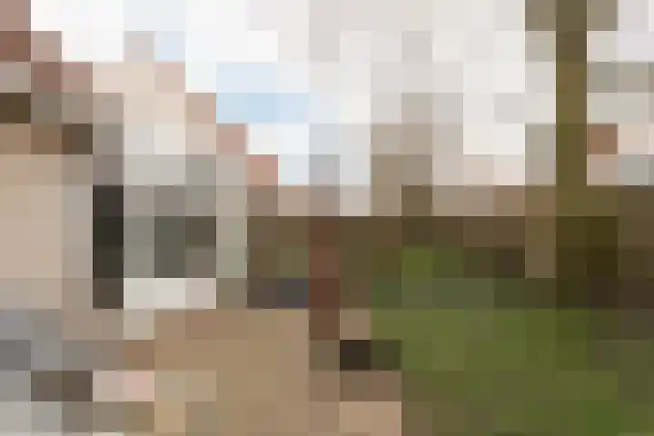 De Ljip 23 Bolsward thumbnail 39