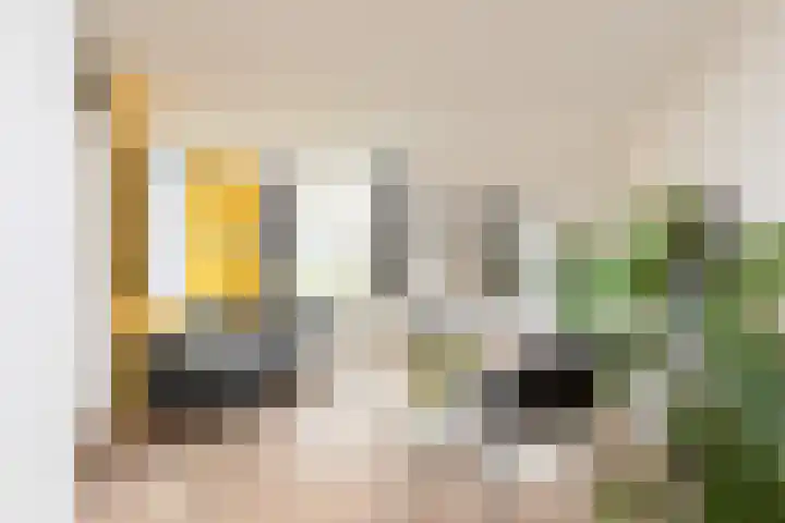 De Ljip 23 Bolsward thumbnail 4