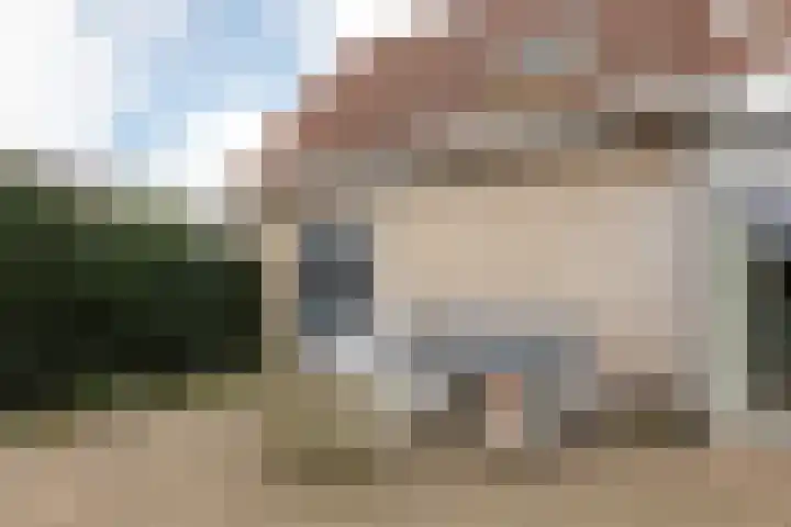 De Ljip 23 Bolsward thumbnail 40