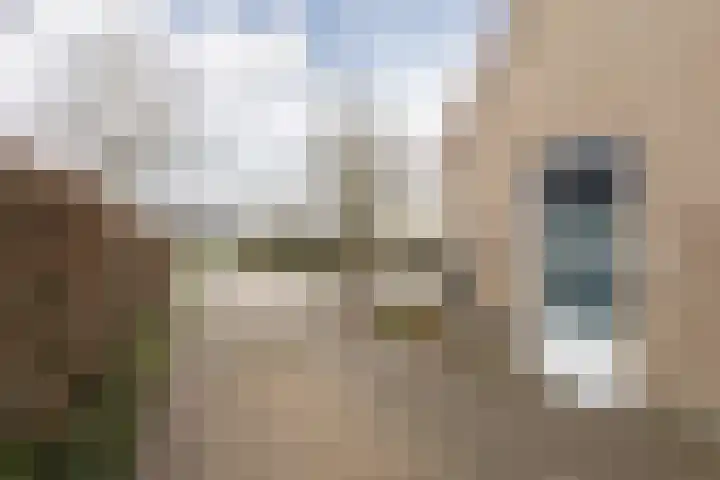 De Ljip 23 Bolsward thumbnail 42