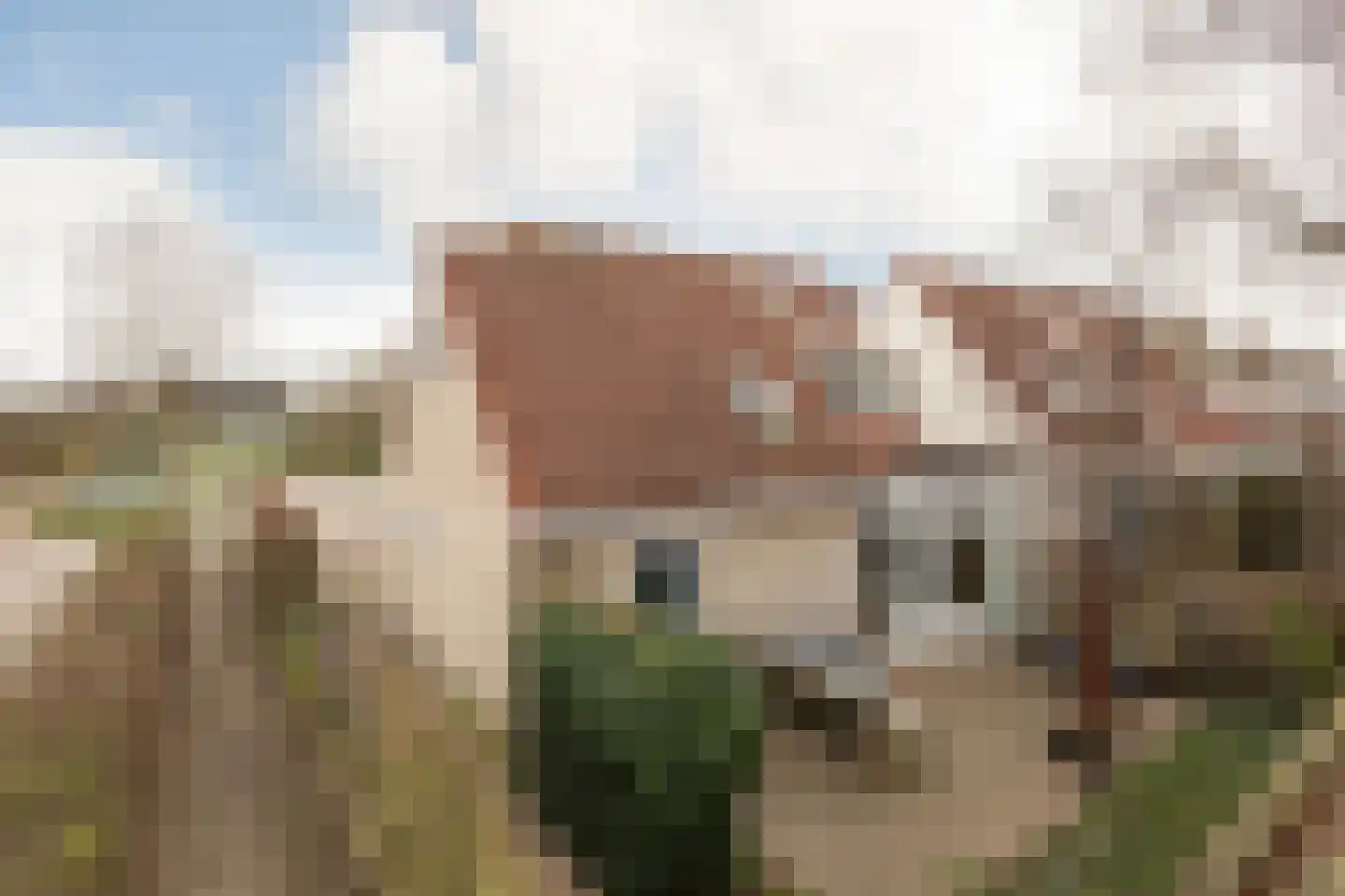 De Ljip 23 Bolsward thumbnail 47