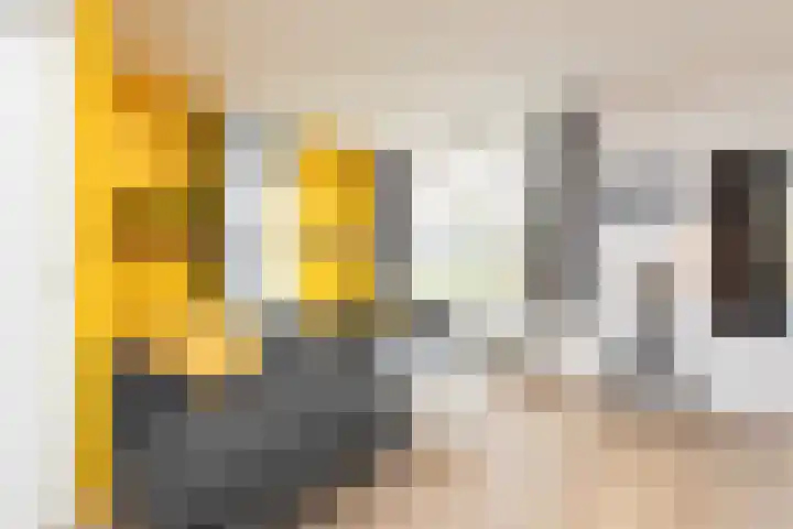 De Ljip 23 Bolsward thumbnail 5