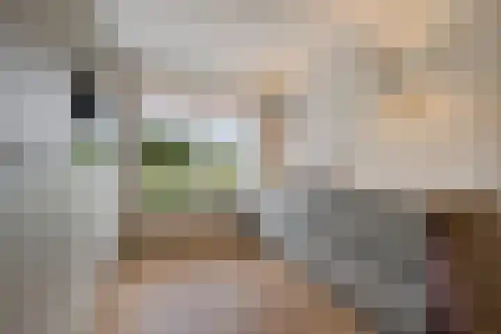 De Ljip 5 Leeuwarden thumbnail 11