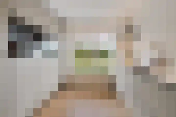 De Ljip 5 Leeuwarden thumbnail 12