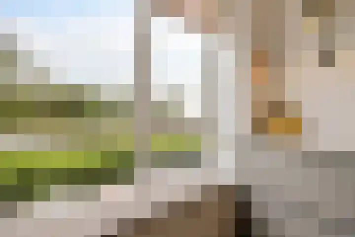 De Ljip 5 Leeuwarden thumbnail 13