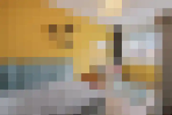 De Ljip 5 Leeuwarden thumbnail 24