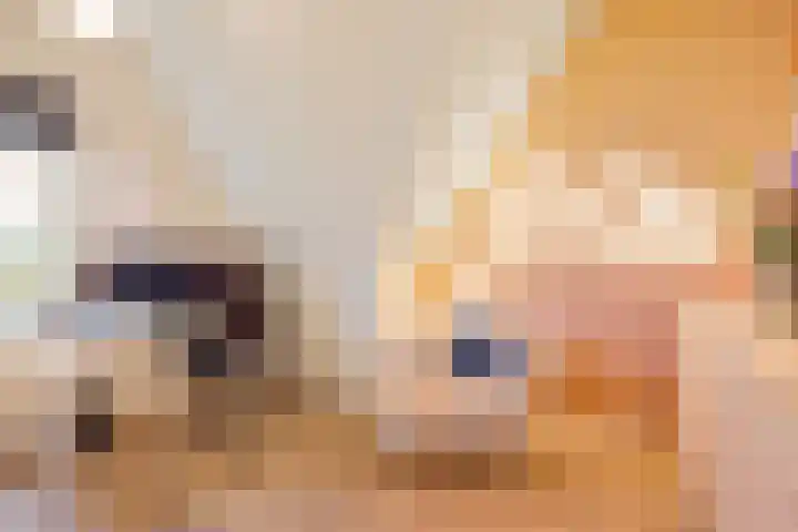 De Ljip 5 Leeuwarden thumbnail 33