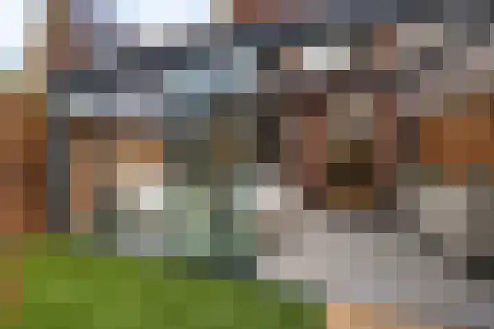De Ljip 5 Leeuwarden thumbnail 37