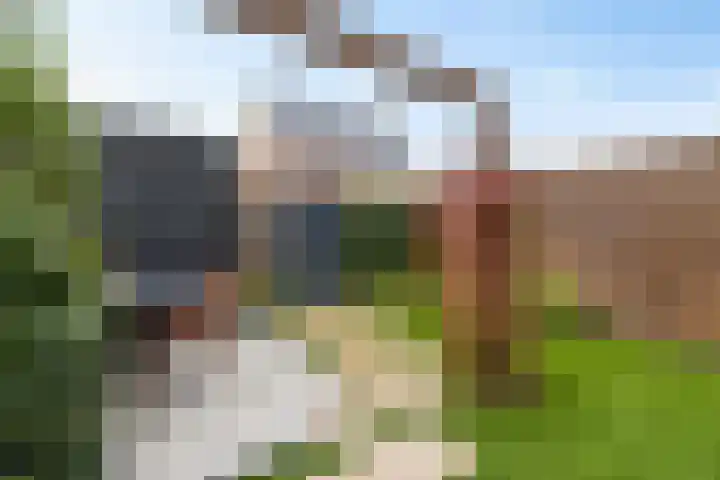 De Ljip 5 Leeuwarden thumbnail 38