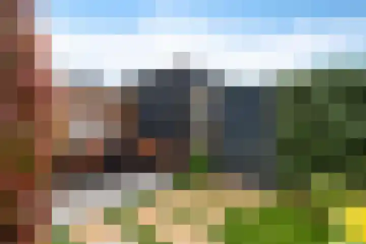 De Ljip 5 Leeuwarden thumbnail 39