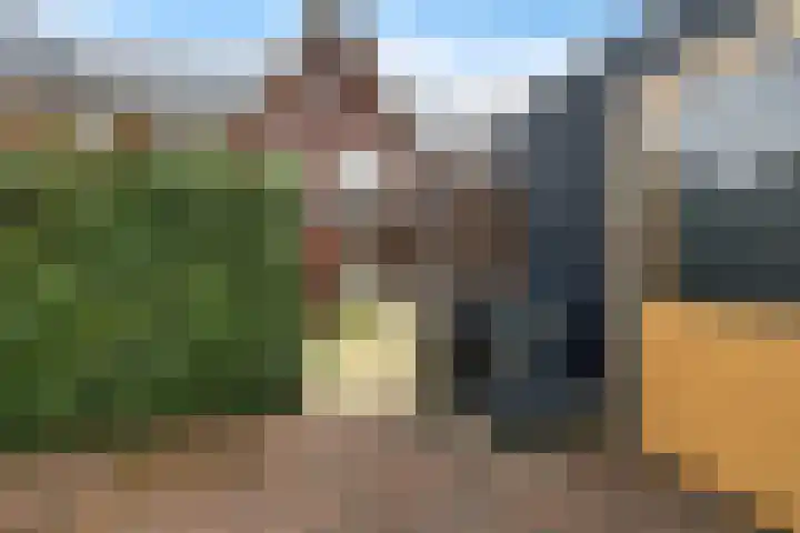 De Ljip 5 Leeuwarden thumbnail 42
