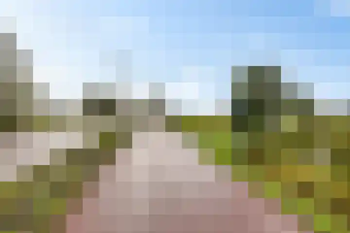 De Ljip 5 Leeuwarden thumbnail 44