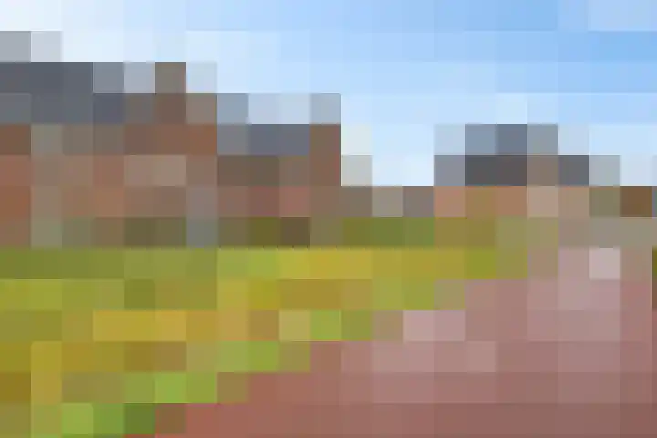 De Ljip 5 Leeuwarden thumbnail 5