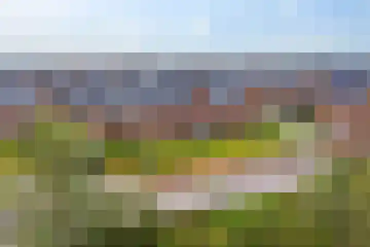 De Ljip 5 Leeuwarden thumbnail 50