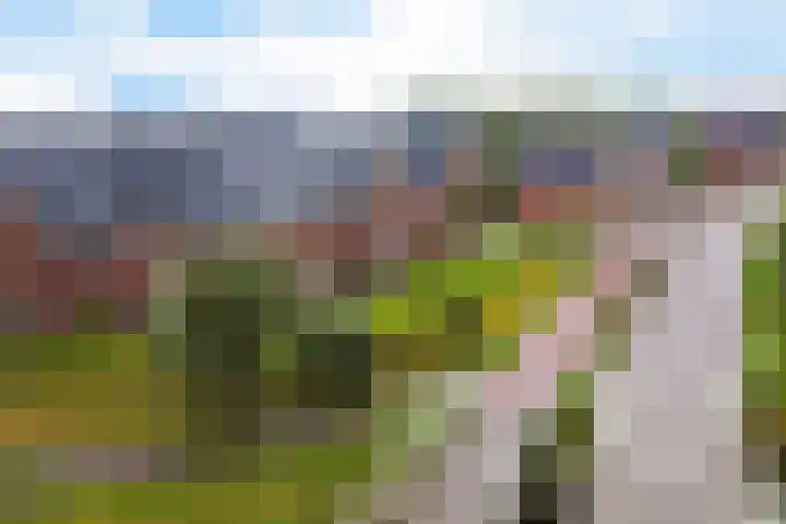 De Ljip 5 Leeuwarden thumbnail 51