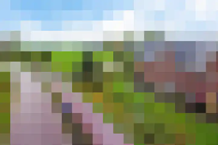 De Ljip 5 Leeuwarden thumbnail 52