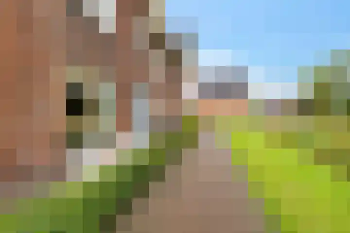 De Ljip 5 Leeuwarden thumbnail 6