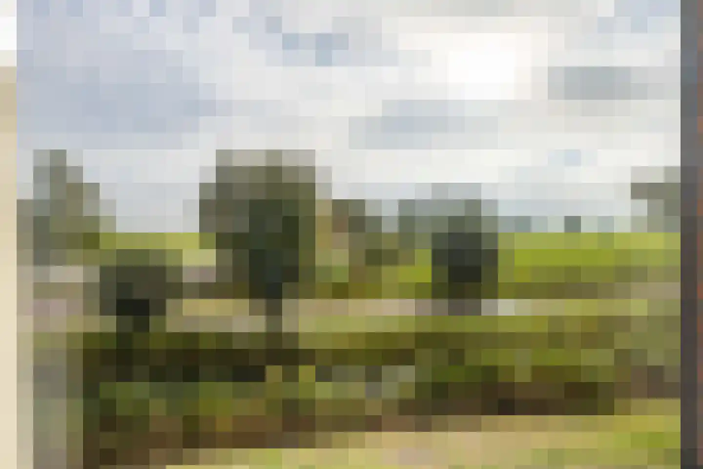 De Ljip 9 Leeuwarden thumbnail 29