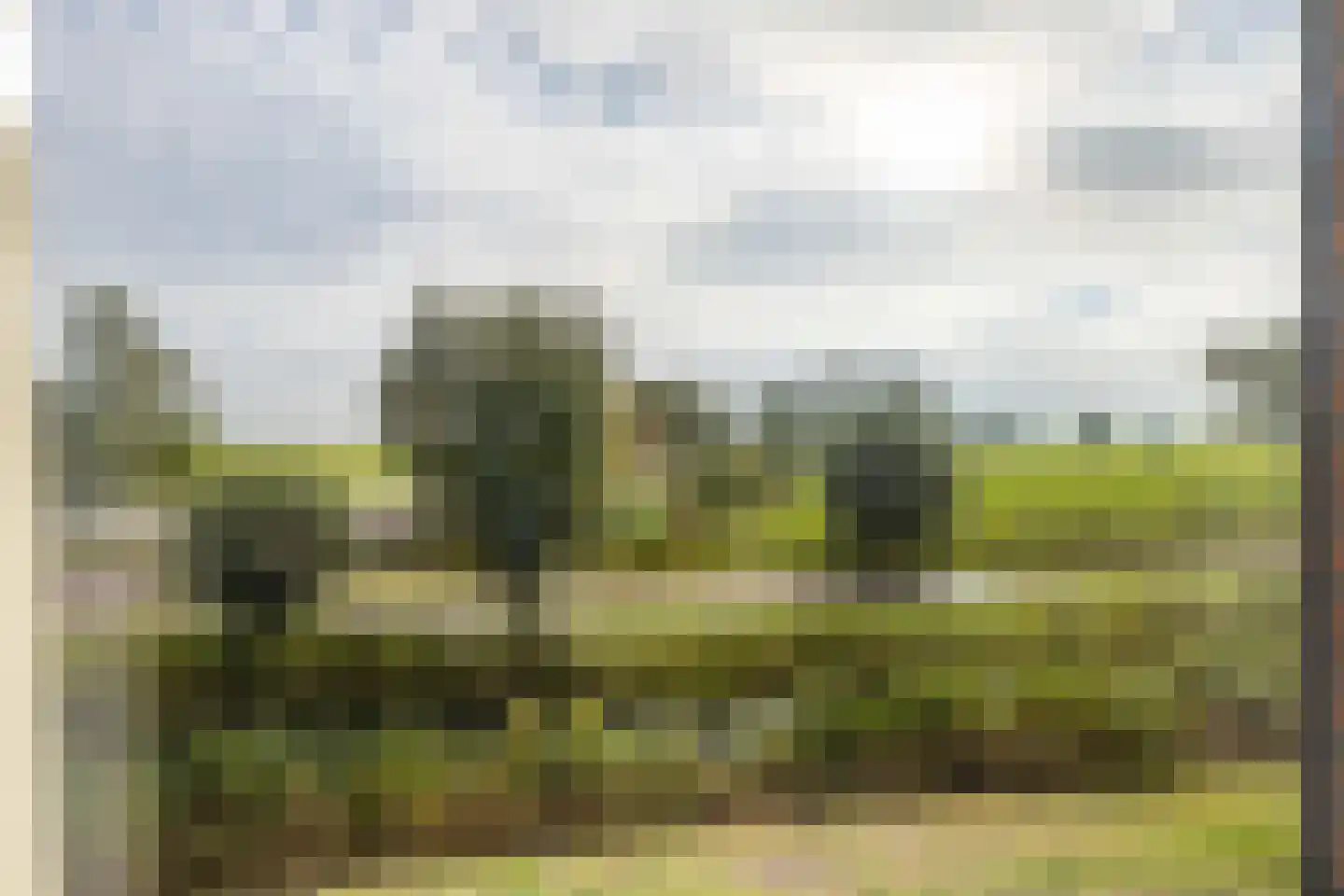 De Ljip 9 Leeuwarden thumbnail 29