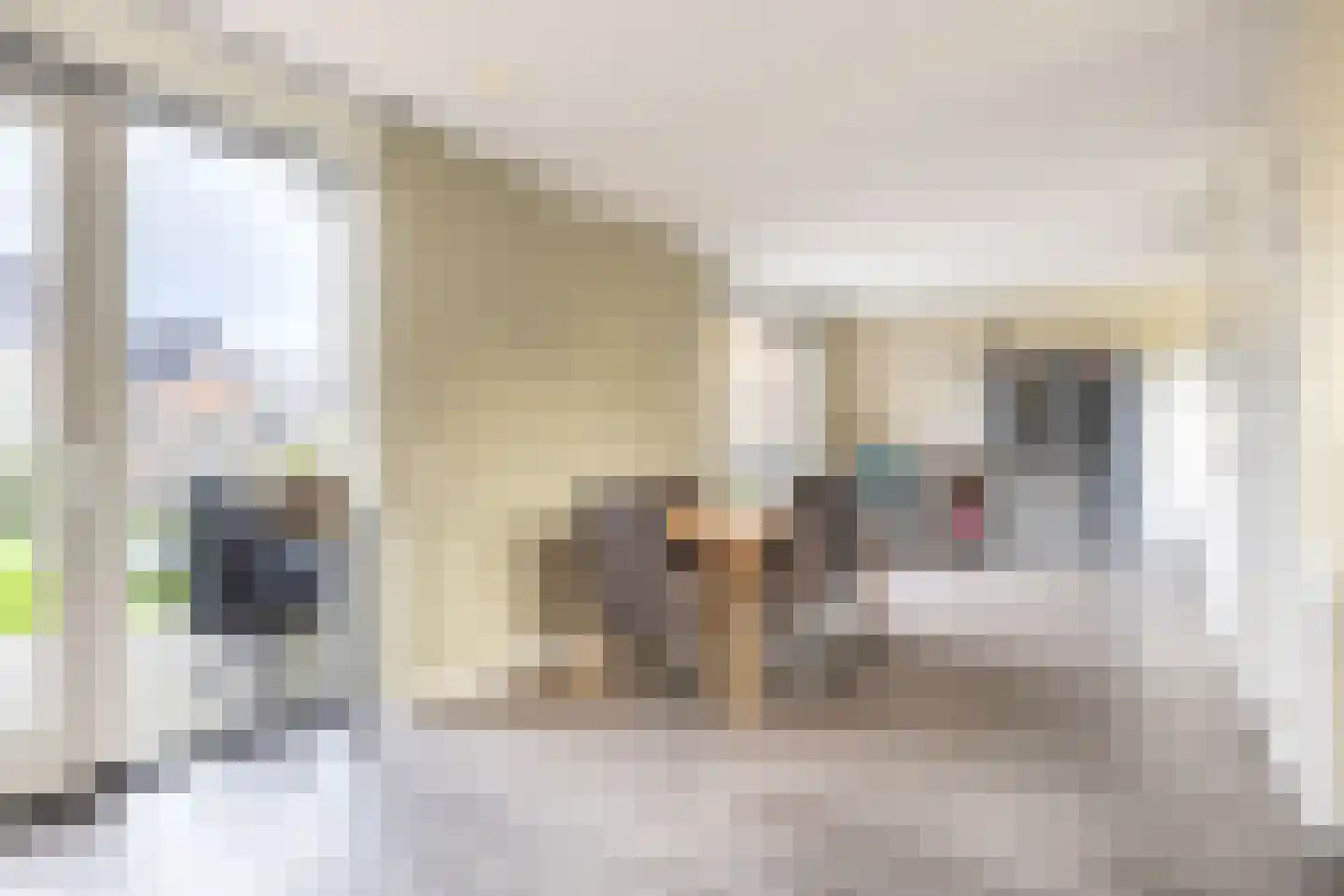 De Ljip 9 Leeuwarden thumbnail 4