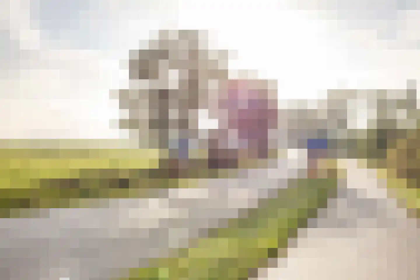 De Ljip 9 Leeuwarden thumbnail 52