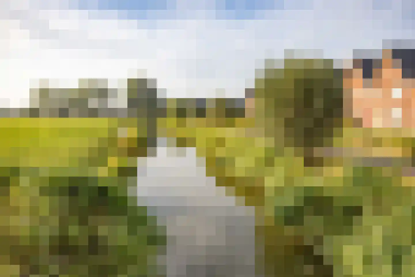 De Ljip 9 Leeuwarden thumbnail 53