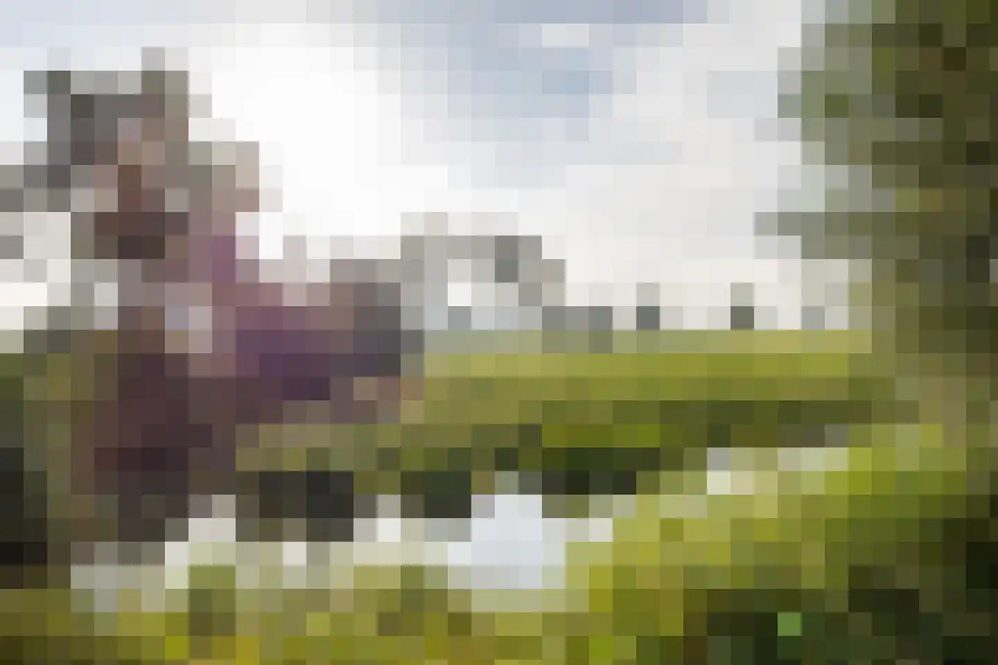 De Ljip 9 Leeuwarden thumbnail 54