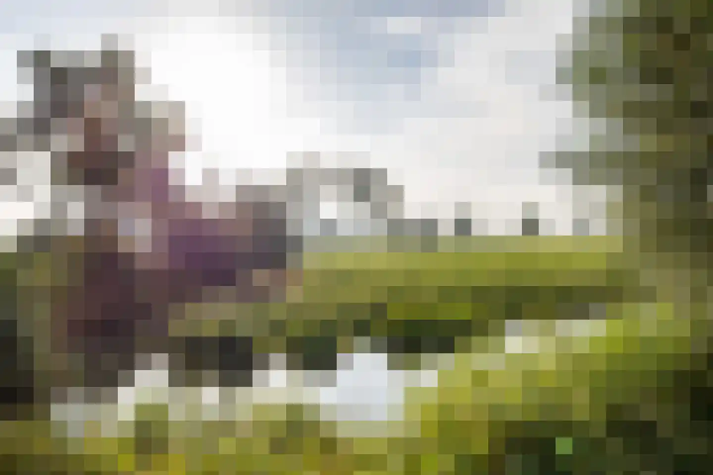 De Ljip 9 Leeuwarden thumbnail 54