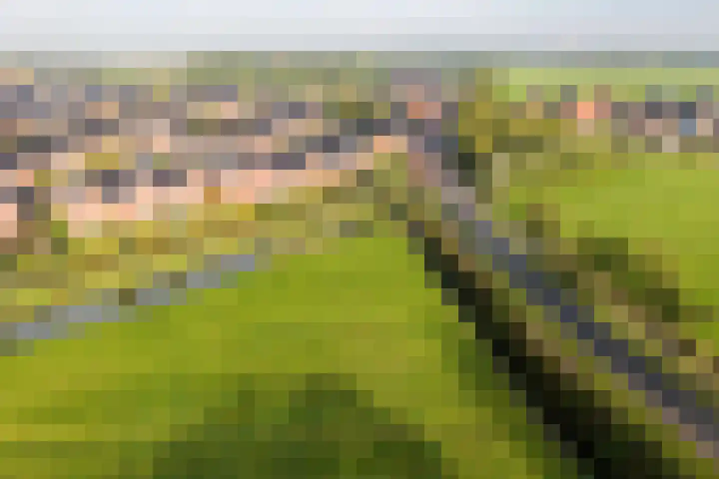 De Ljip 9 Leeuwarden thumbnail 55