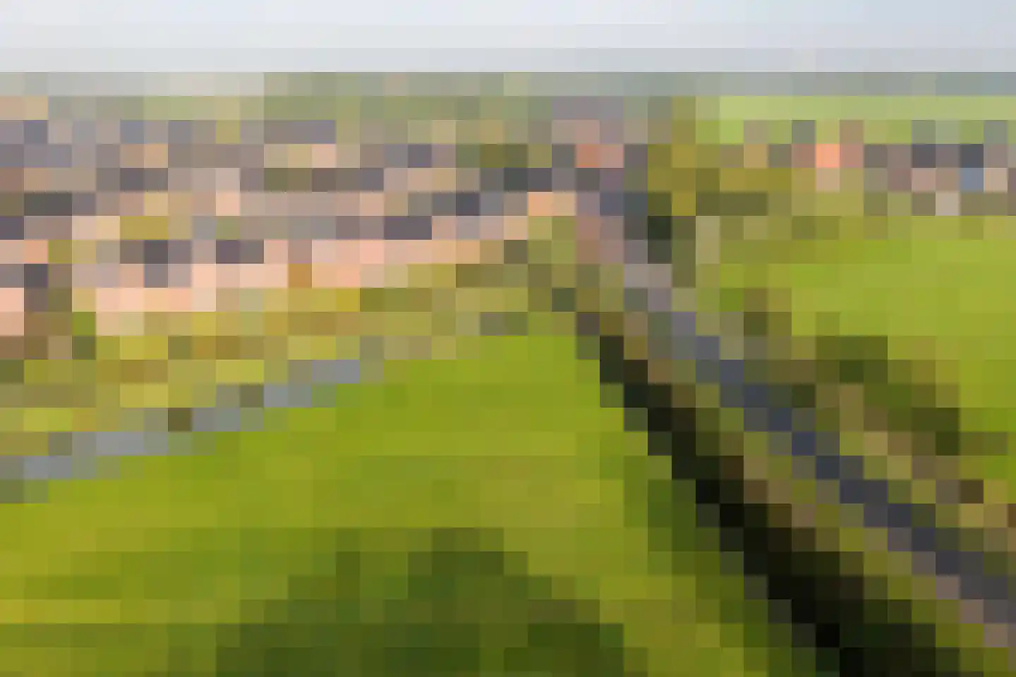 De Ljip 9 Leeuwarden thumbnail 55