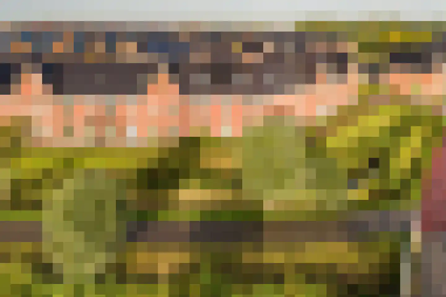 De Ljip 9 Leeuwarden thumbnail 6