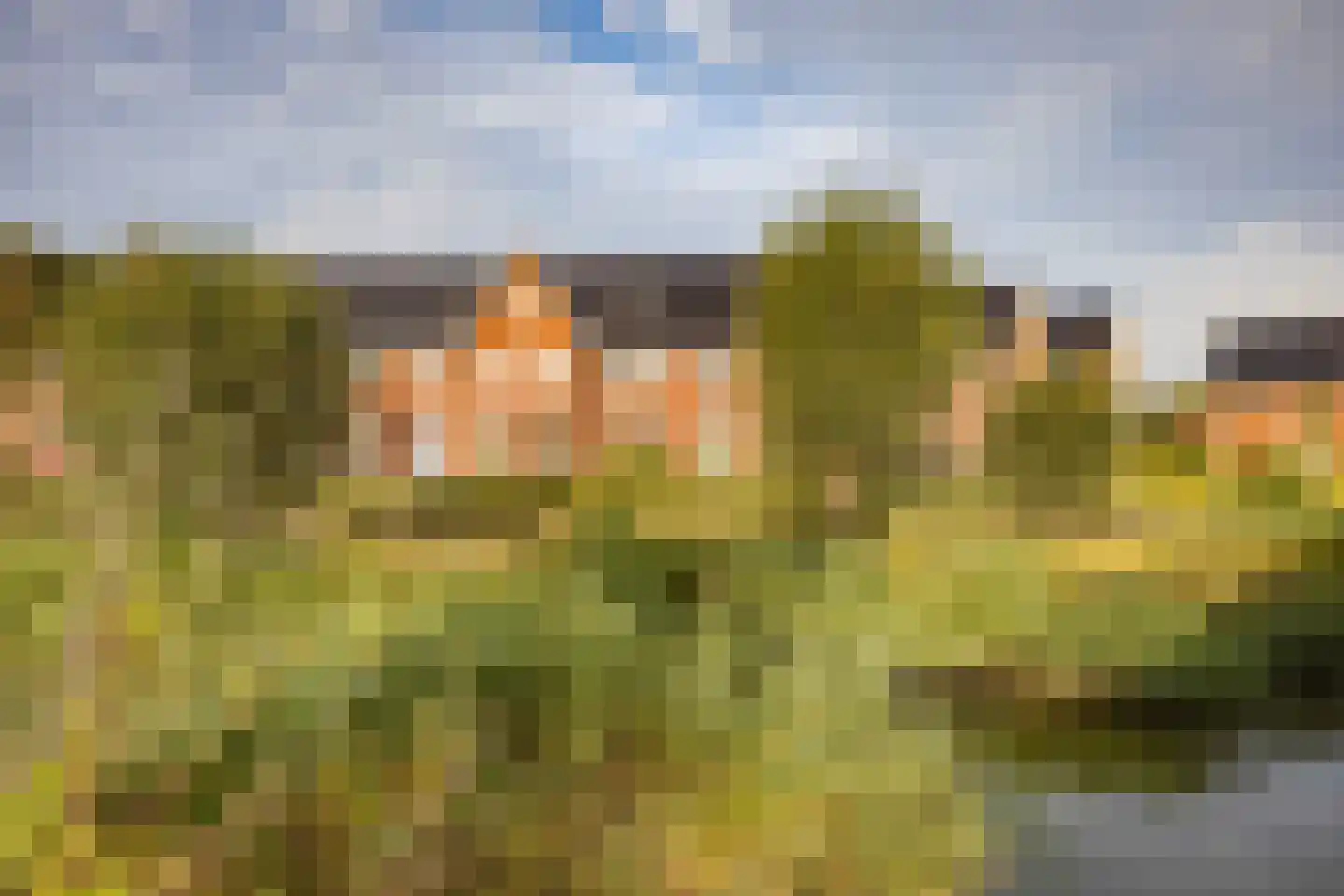 De Ljip 9 Leeuwarden thumbnail 7