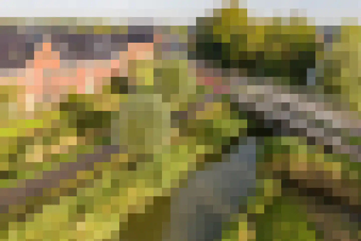De Ljip 9 Leeuwarden thumbnail 9