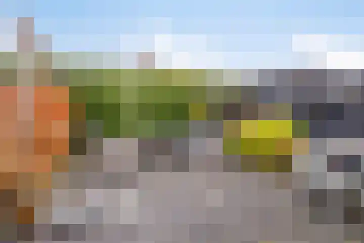De Ljurk 11 Hurdegaryp thumbnail 13