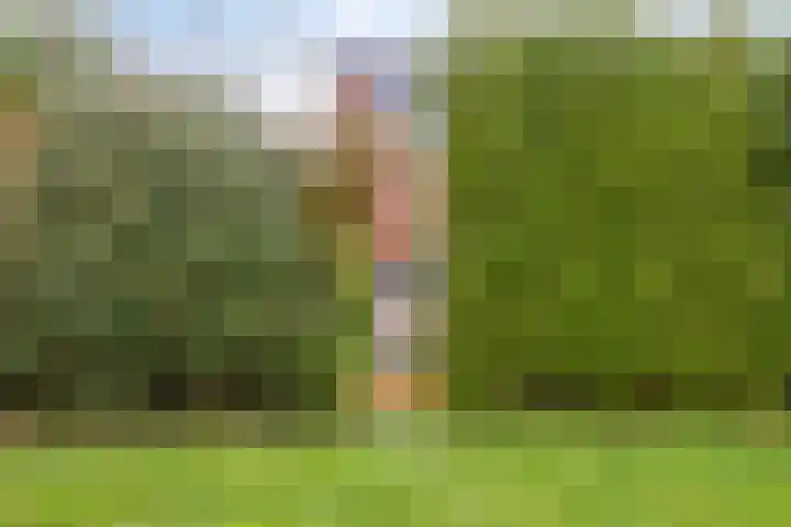De Ljurk 11 Hurdegaryp thumbnail 15