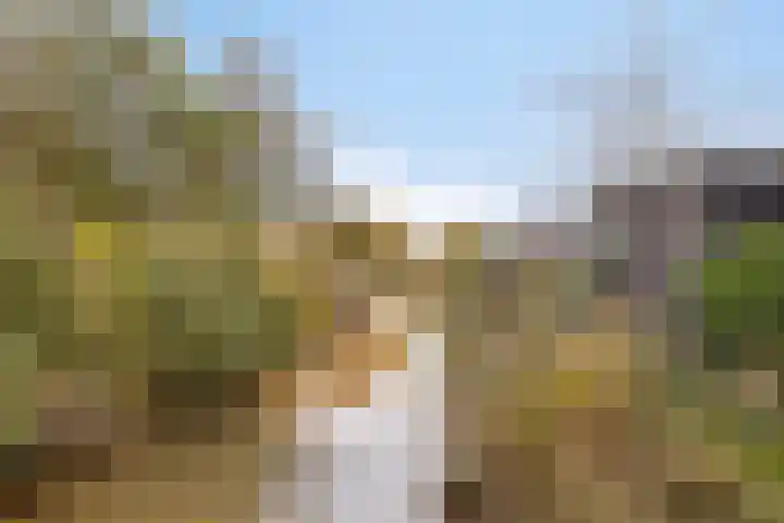 De Ljurk 11 Hurdegaryp thumbnail 17