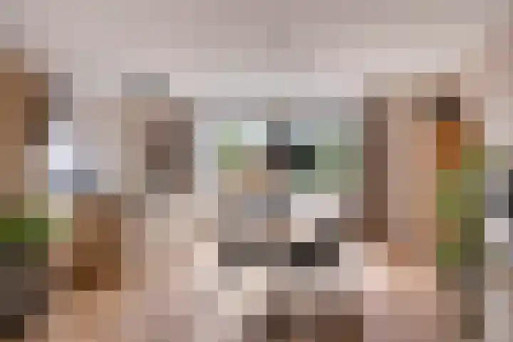 De Ljurk 11 Hurdegaryp thumbnail 27
