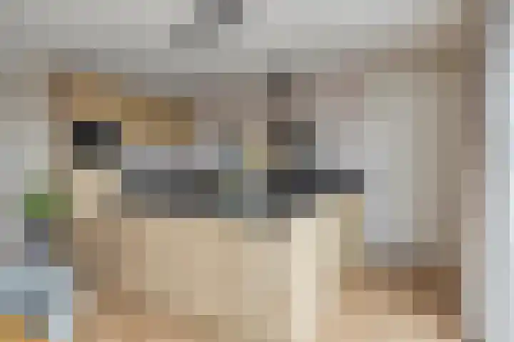 De Ljurk 11 Hurdegaryp thumbnail 28