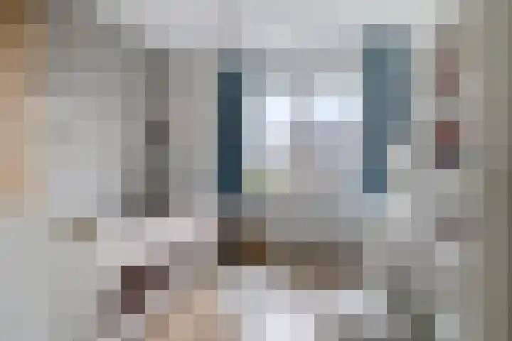 De Ljurk 11 Hurdegaryp thumbnail 36